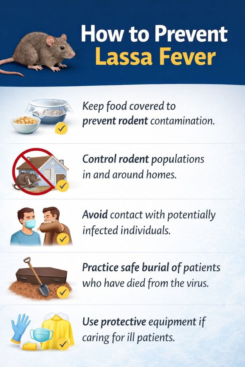 How to prevent Lassa fever